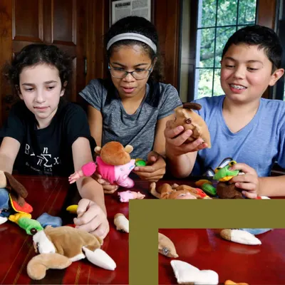 Tweens pull apart toys.