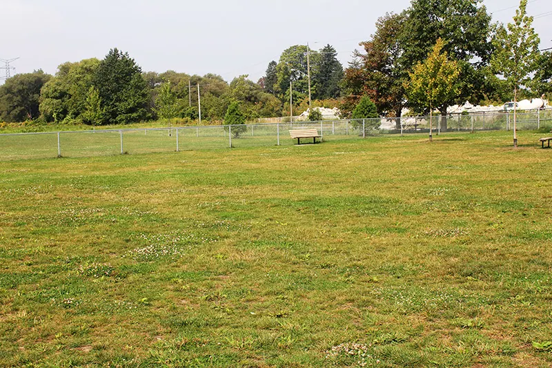 Ground-level view of Dave Boyd Memorial Dog Park