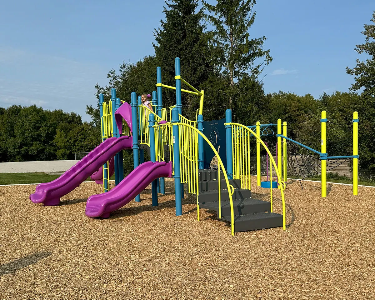 Ground-level view of Elephant Hill Park