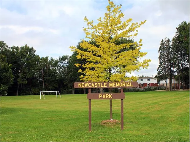 Ground-level view of Newcastle Memorial Park