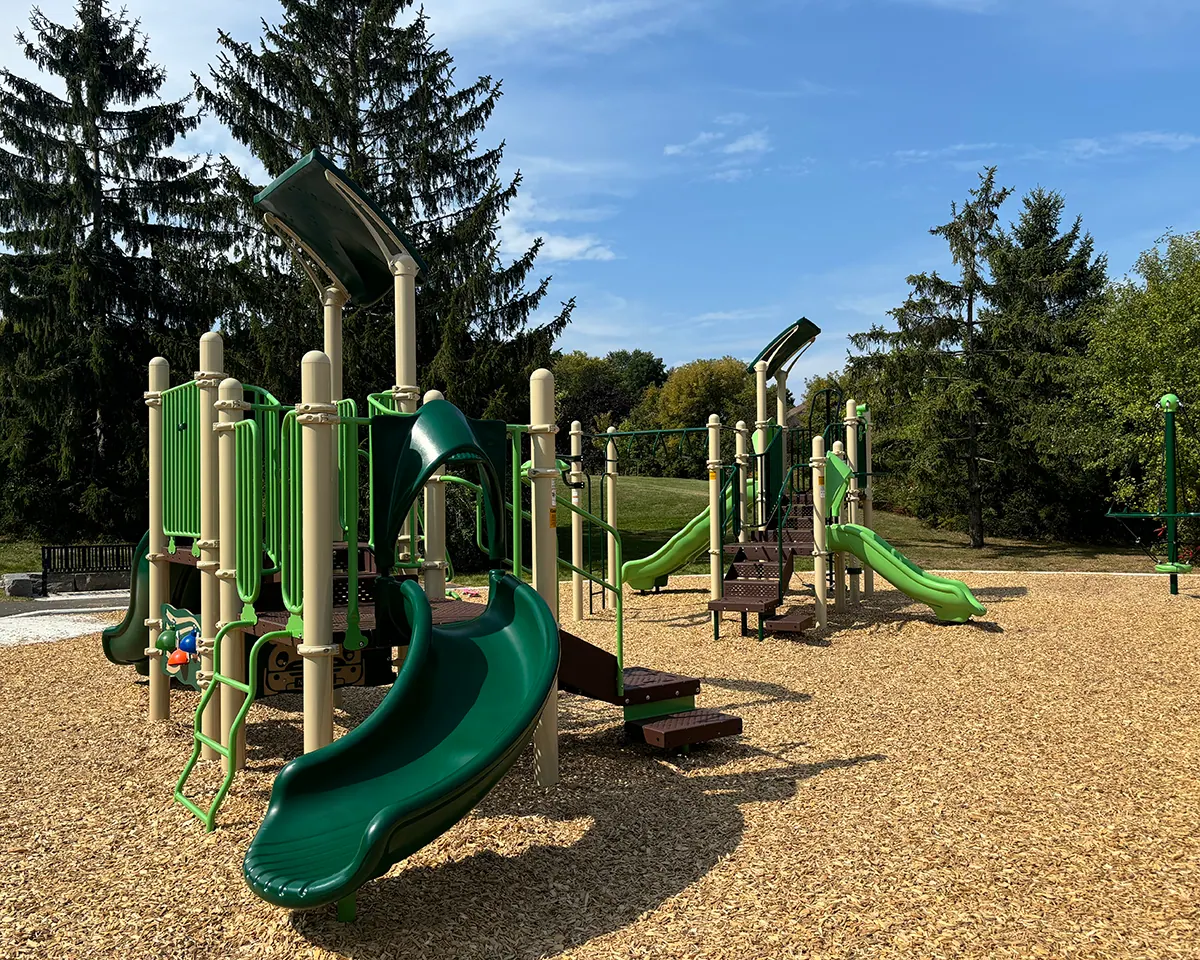 Ground-level view of Rhonda Park