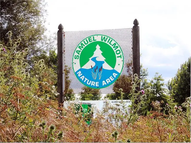 Ground-level view of Samuel Wilmot Nature Area